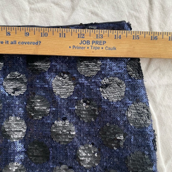 Madewell Broadway&Broome polkadot, sequin skirt - Picture 4 of 5